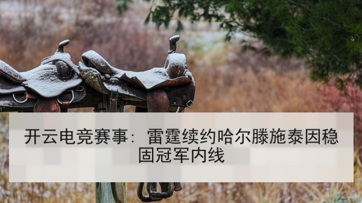 开云电竞赛事: 雷霆续约哈尔滕施泰因稳固冠军内线