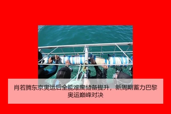 肖若腾东京奥运后全能难度储备提升，新周期蓄力巴黎奥运巅峰对决